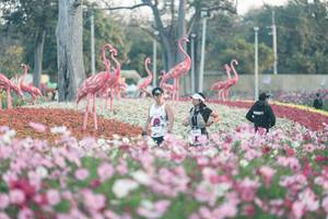 BIB: 
                            <button type="button" onclick="openModal(27343947)" class="btn btn-primary btn-sm float-right btn-popup" data-toggle="modal" data-target=".modal-high-quality">
                        <i class="fas fa-shopping-cart"></i> Add to Cart
                    </button>
                                            <button type="button" onclick="isThisMe(27343947, true)" class="btn btn-success btn-sm float-right btn-popup btn-isme hidden" data-toggle="tooltip" data-placement="bottom" title="นี่คือรูปของคุณใช่ไหม คลิกที่นี่เพื่อเอาเข้าอัลบั้ม">
                        <i class="fas fa-plus"></i> Add to album
                    </button>
                    <button type="button" onclick="isThisMe(27343947, false)" class="btn btn-warning btn-sm float-right btn-popup btn-isnotme hidden">
                        <i class="fas fa-ban"></i> Remove from album
                    </button>